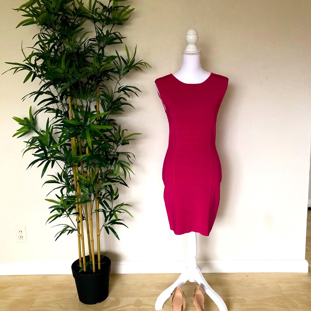 Ted Baker London Magenta Bodycon Dress